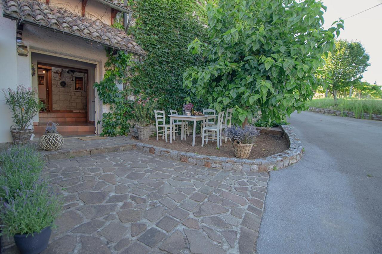 Apartment Ana - Karst Cycling Paradise Dutovlje Exterior foto