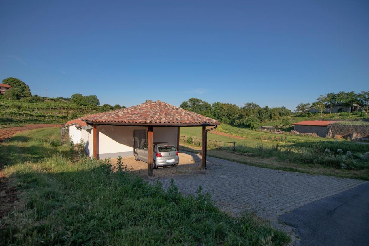 Apartment Ana - Karst Cycling Paradise Dutovlje Exterior foto