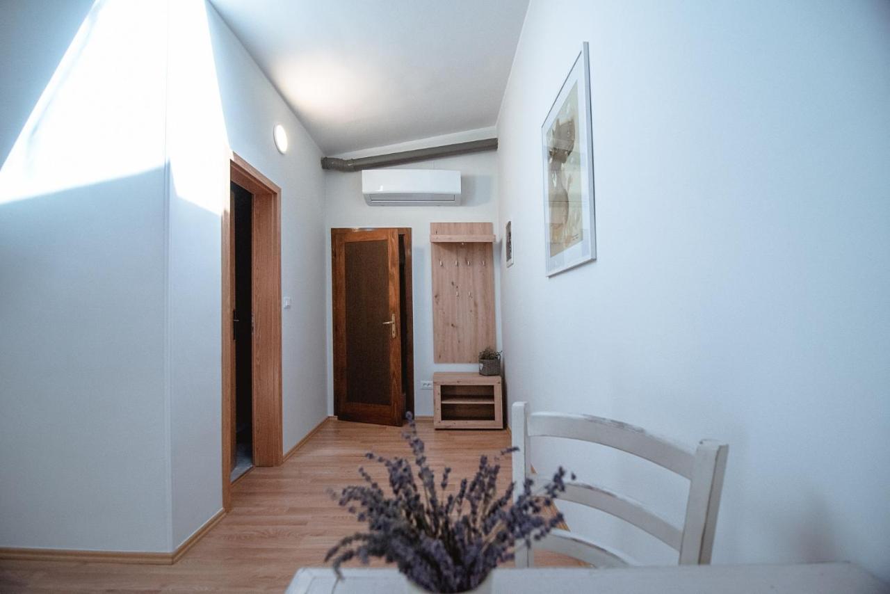 Apartment Ana - Karst Cycling Paradise Dutovlje Exterior foto